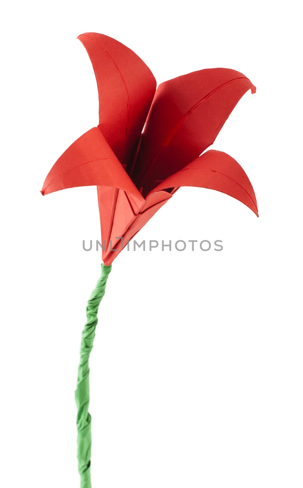 Red Flower origami white isolated. Paper made flowers.