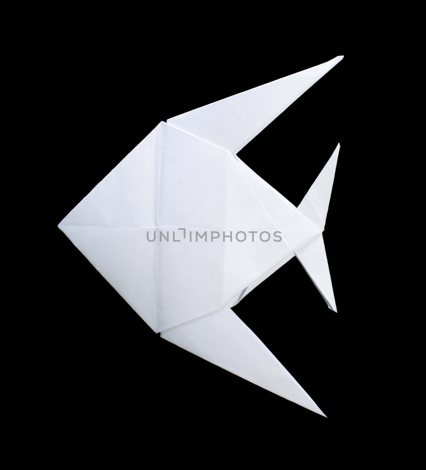 White fish folded origami black isolated