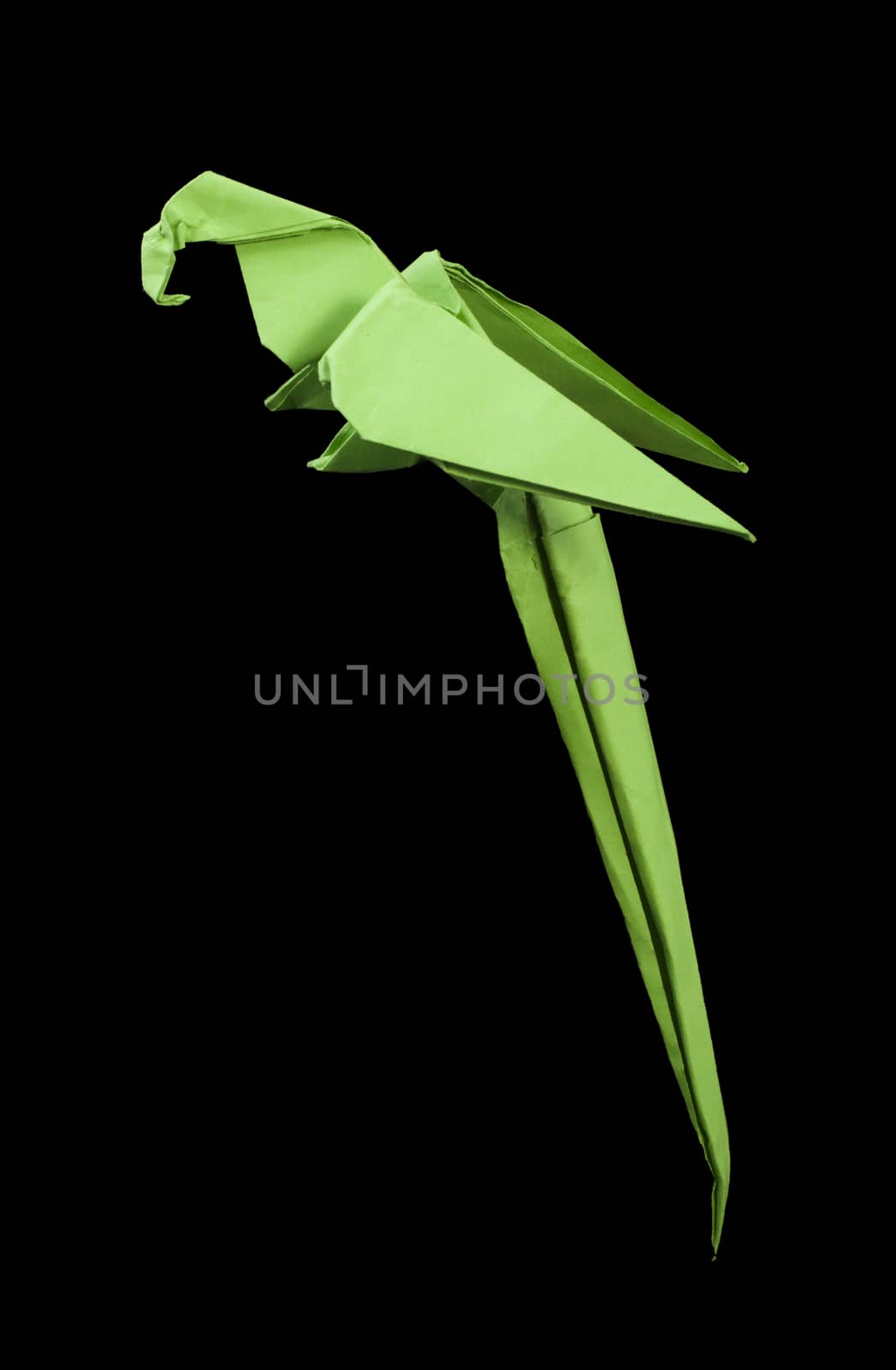 Paper made parrot black isolated by deyan_georgiev