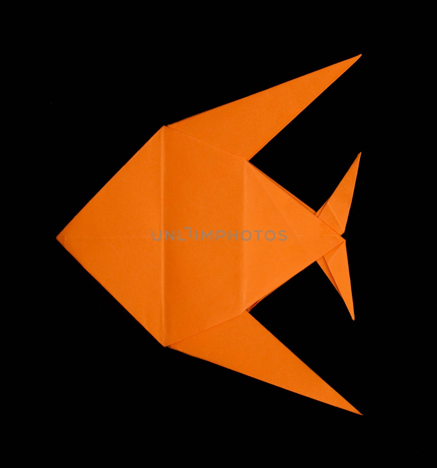 Orange fish folded origami by deyan_georgiev