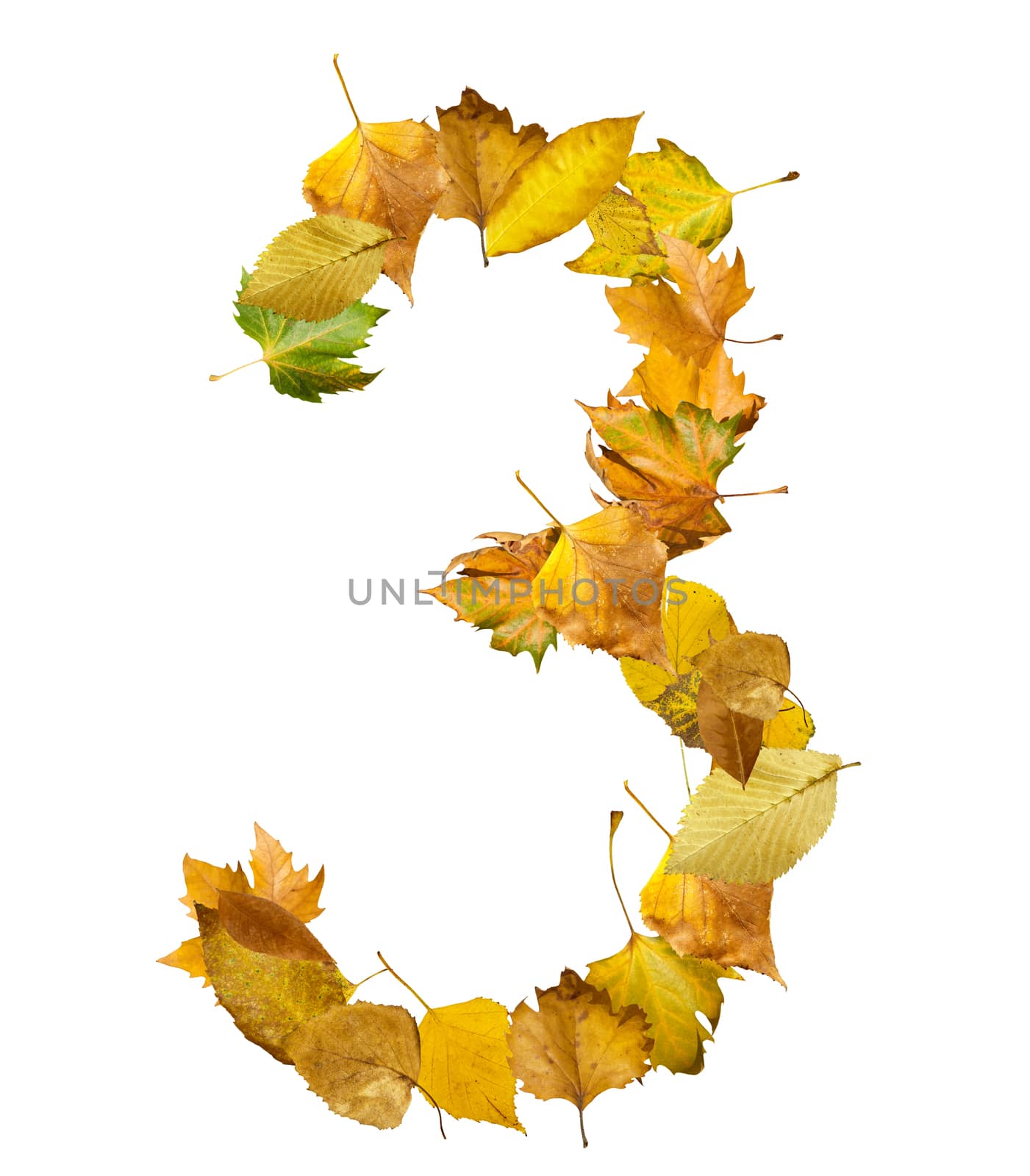 Number three made of autumn leaves. White isolated