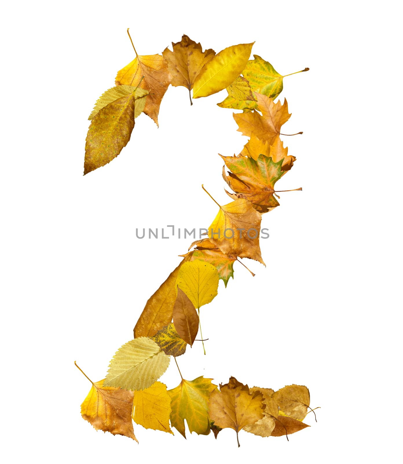Number Two made of autumn leaves. by deyan_georgiev