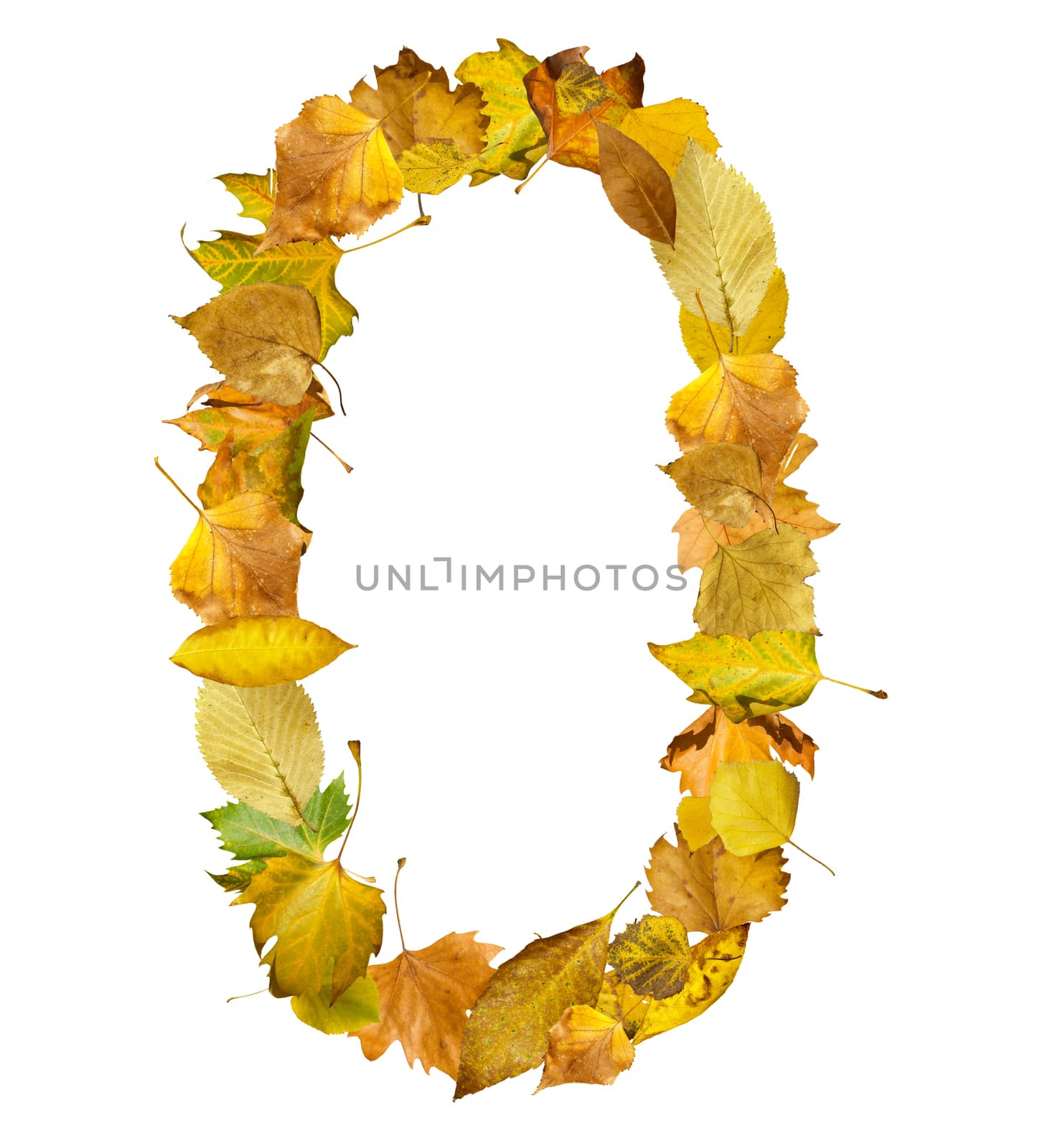 Number zero made of autumn leaves. White isolated