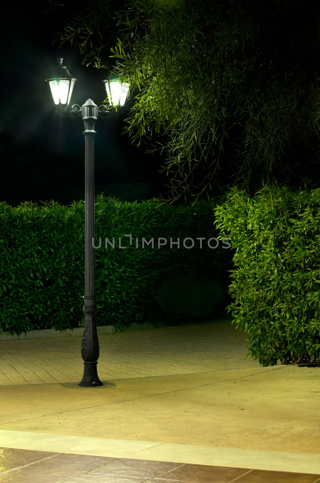 Night picture of the lamp in the park by deyan_georgiev