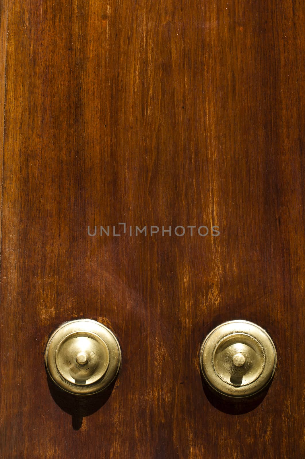 Ornaments on a wooden door.