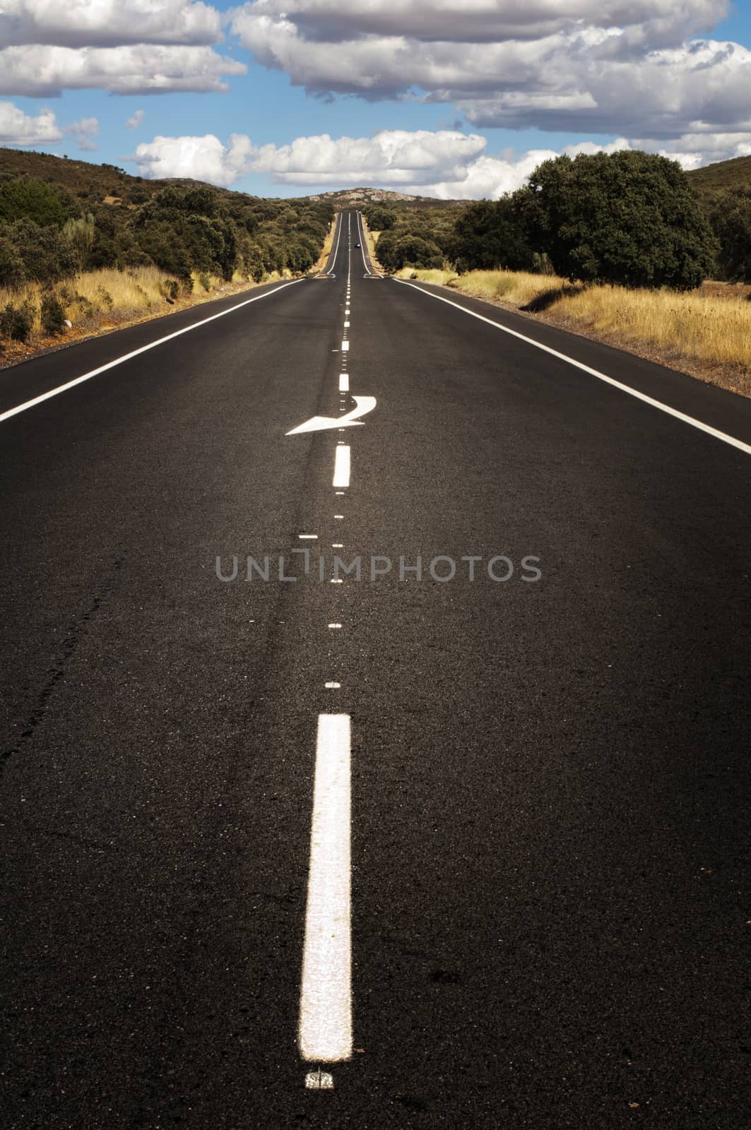 Asphalt road and white line marking. Close up low viewpoint.