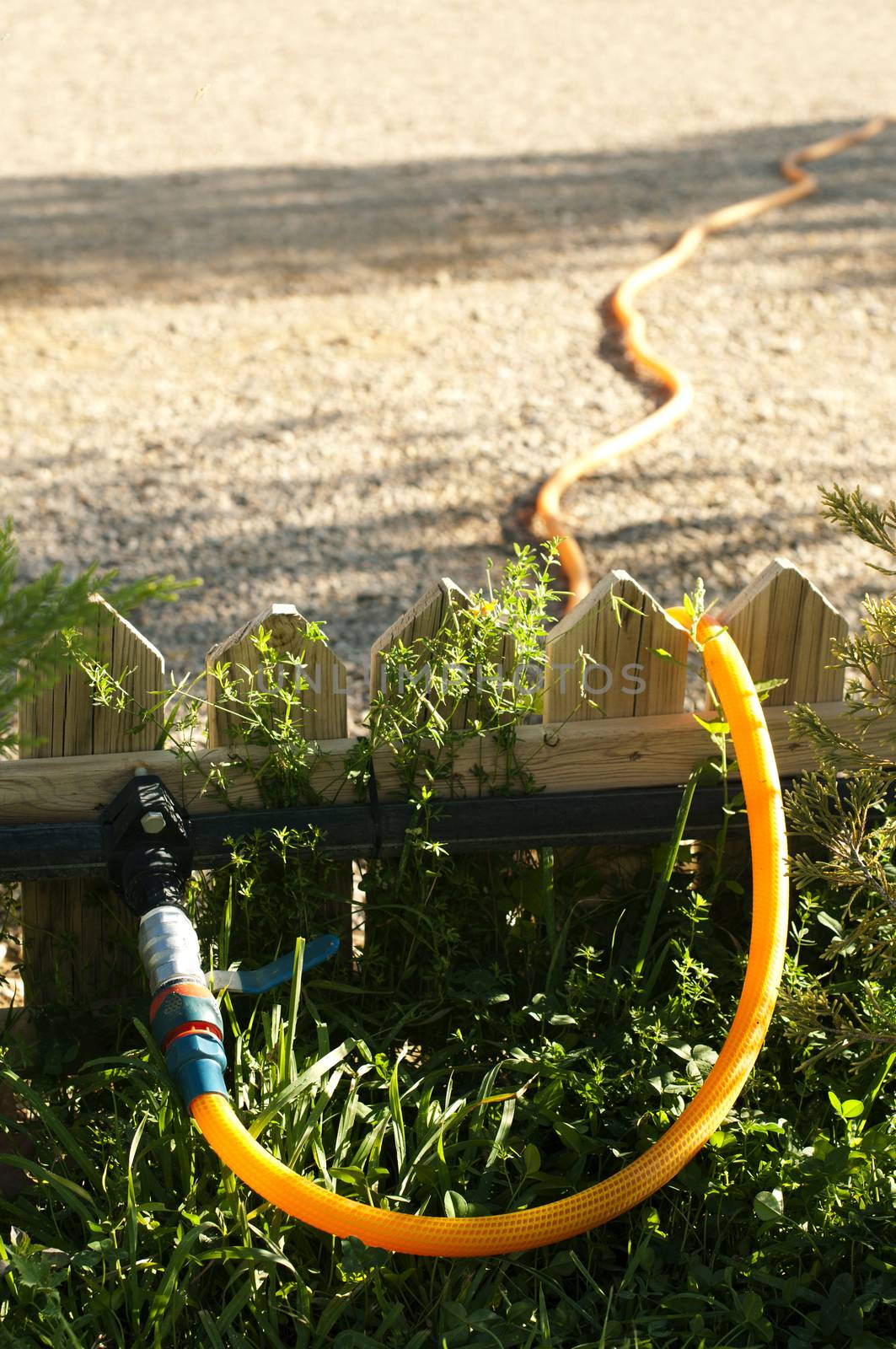 Garden watering hose and fence