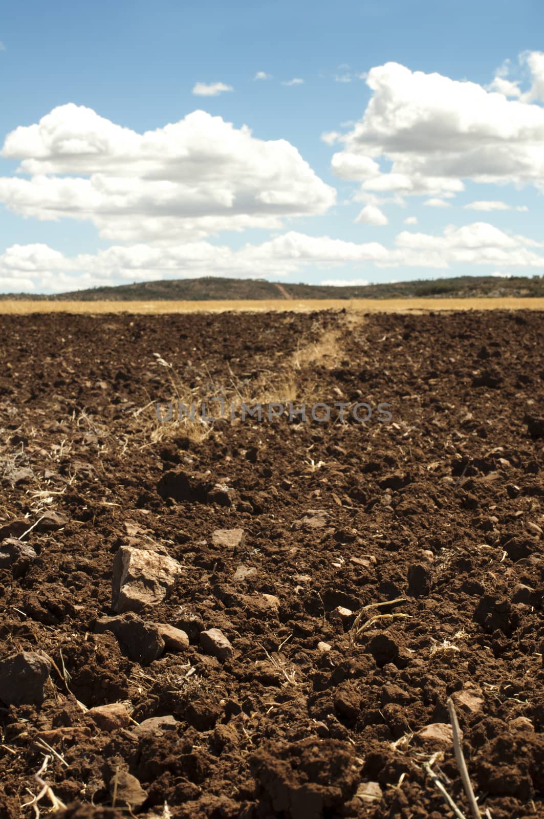 Agricultural land and blue sky
