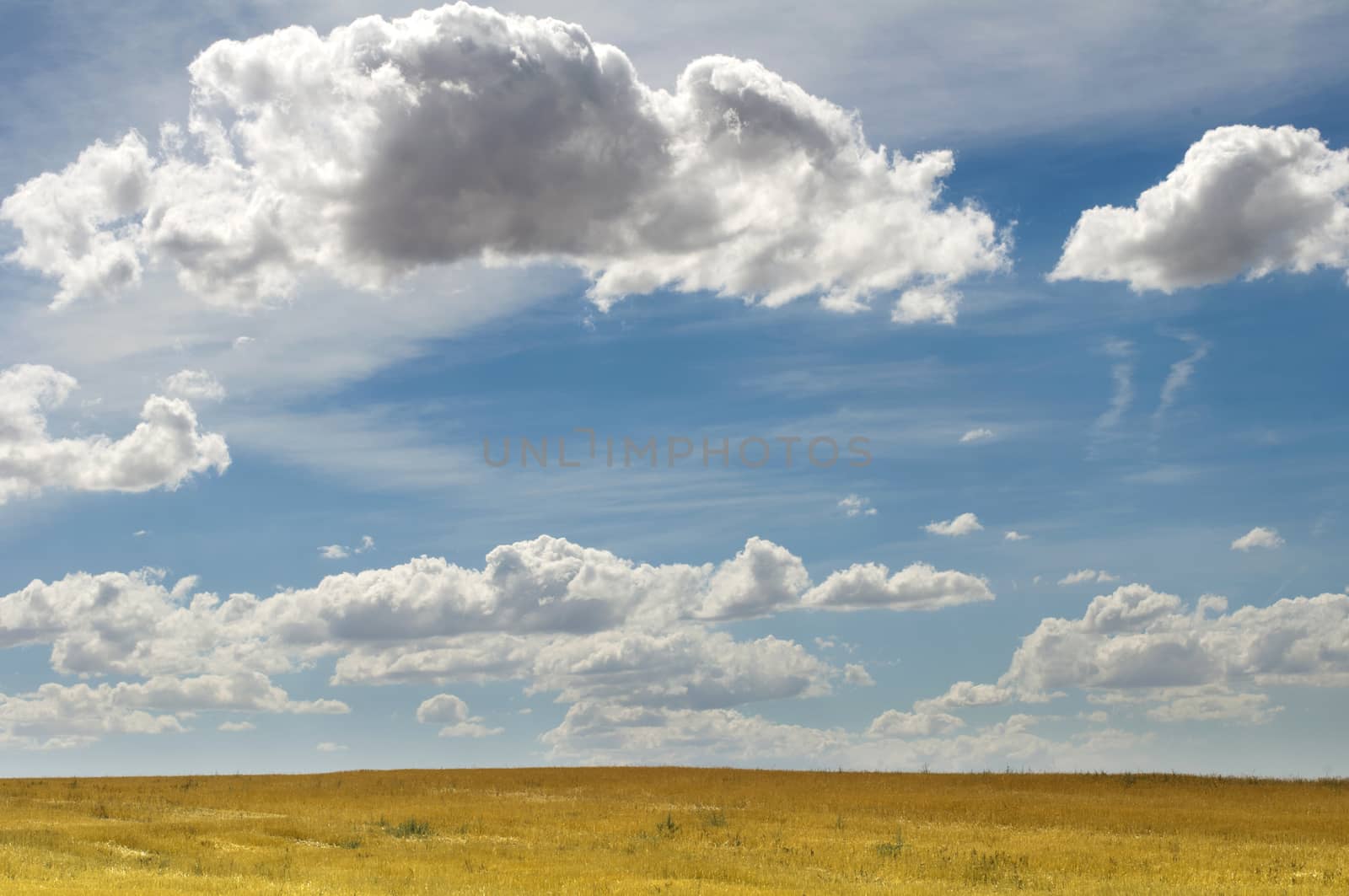 Rural road and blue cloudy sky