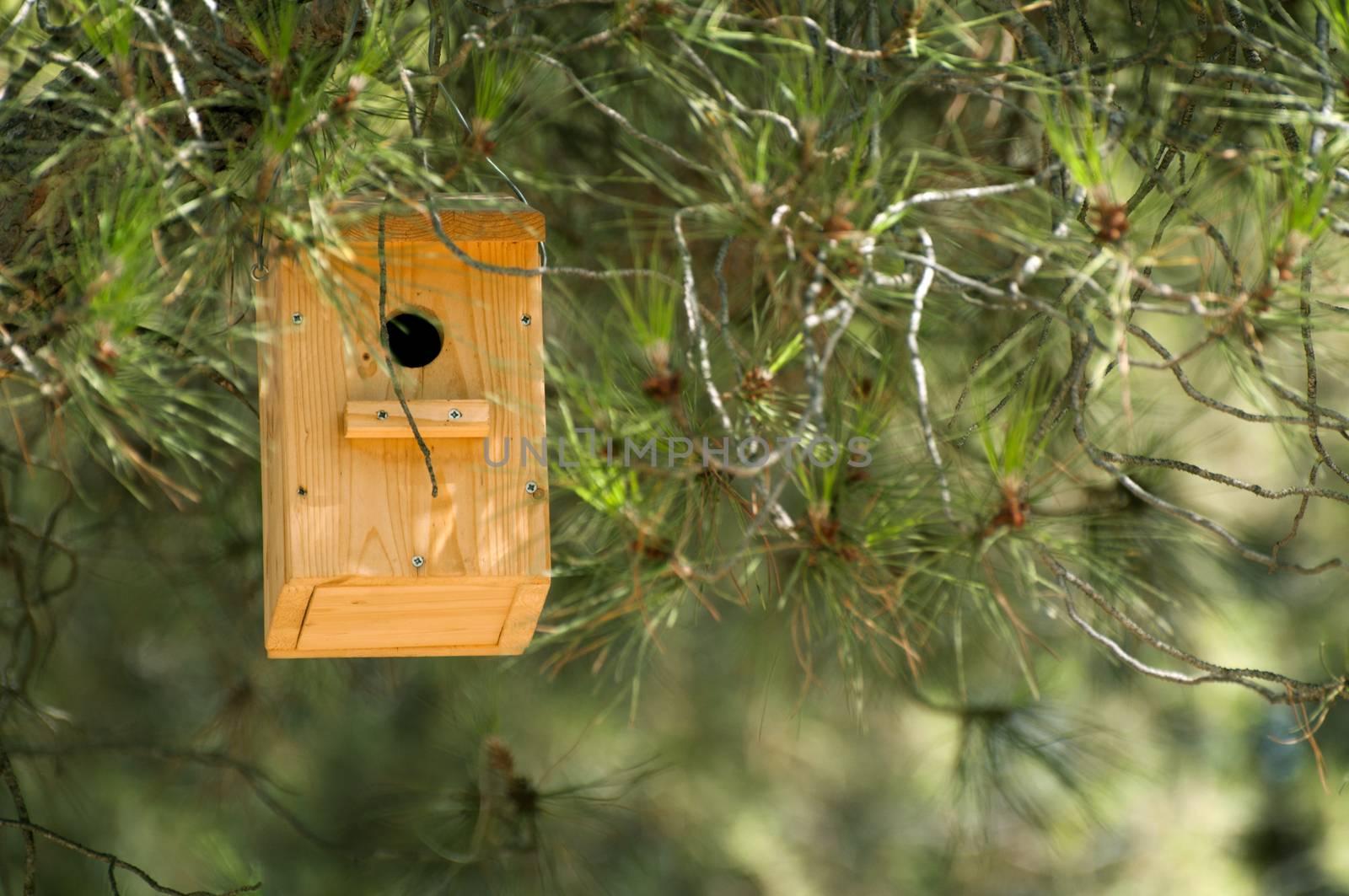 Wooden house for the birds. Natural wood color