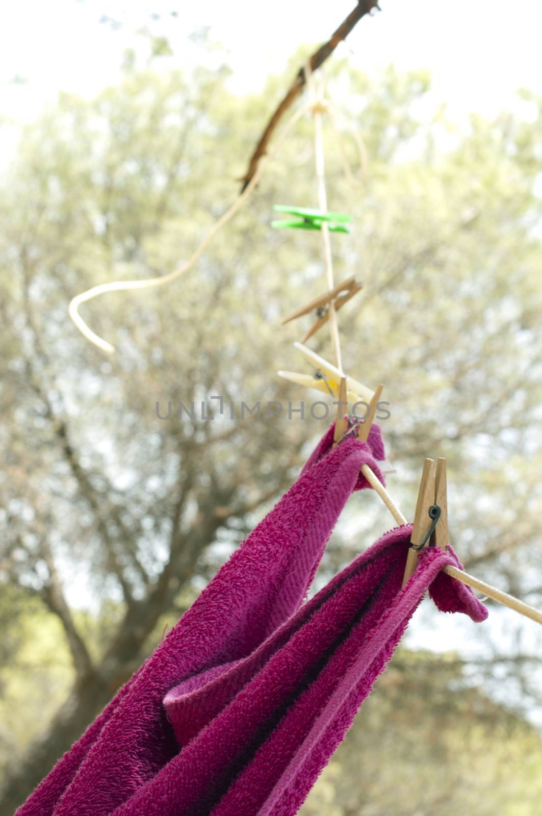 Clothes dryer on tree branch by deyan_georgiev