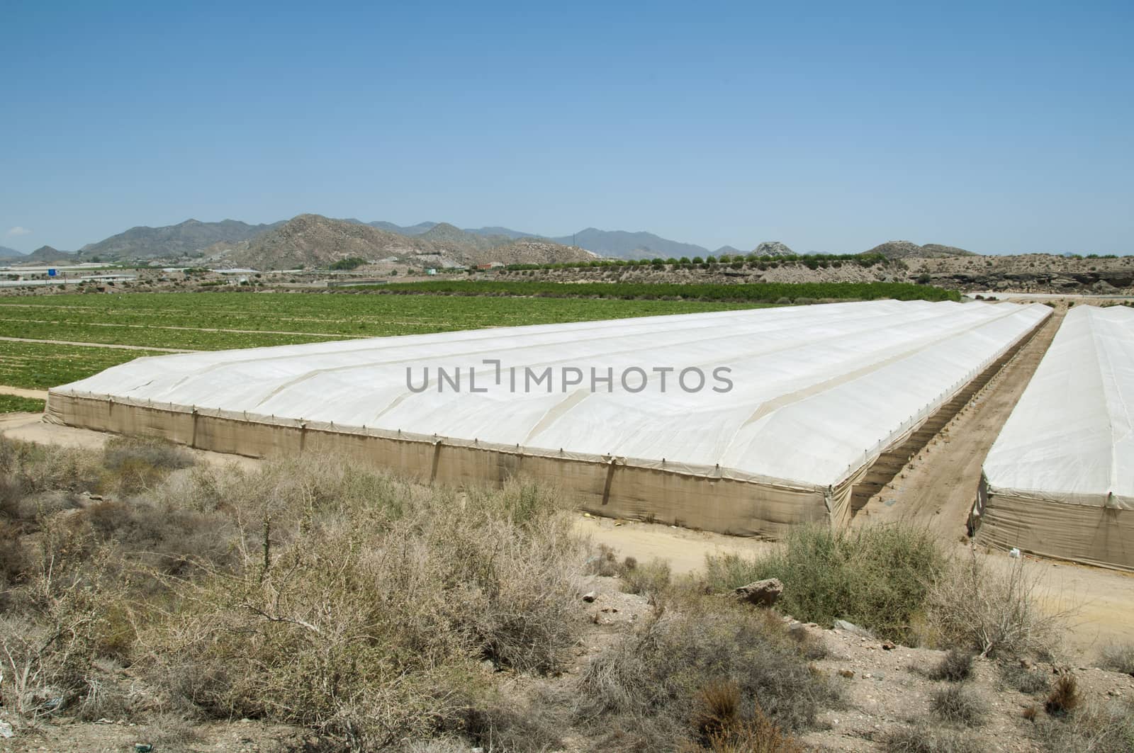 Rural landscape with cultivation in greenhouse.