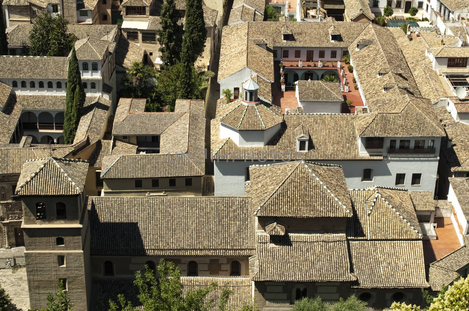 Roofs of ancient buildings. High point of view.