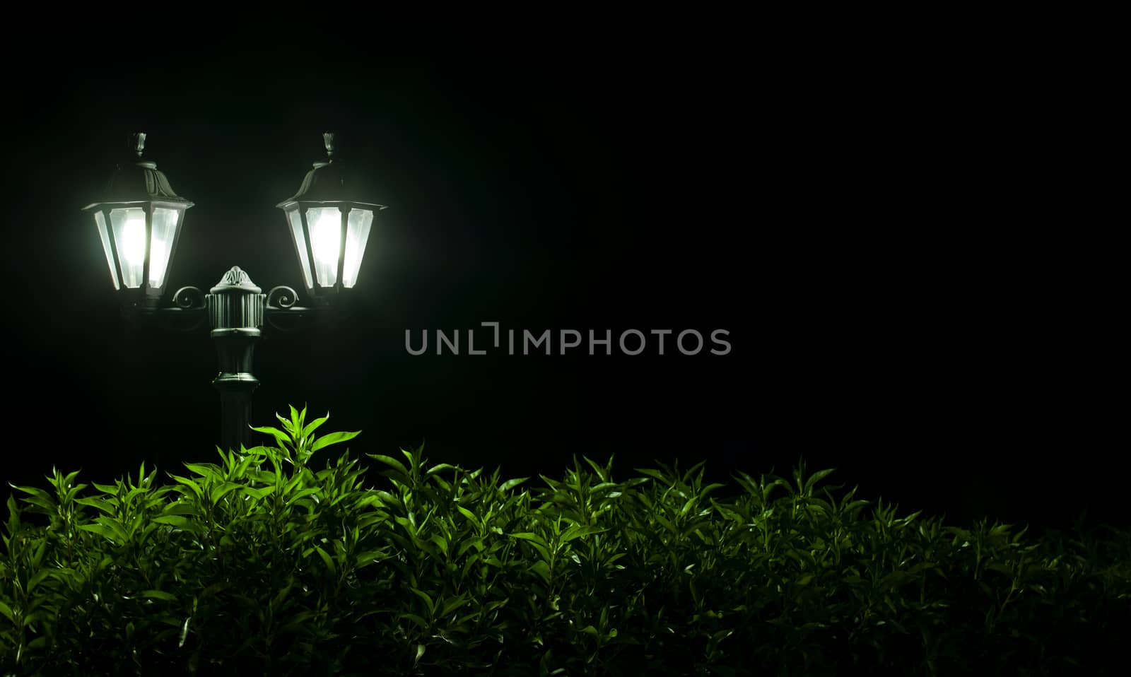 Outdoor Night lamp in park. Night light