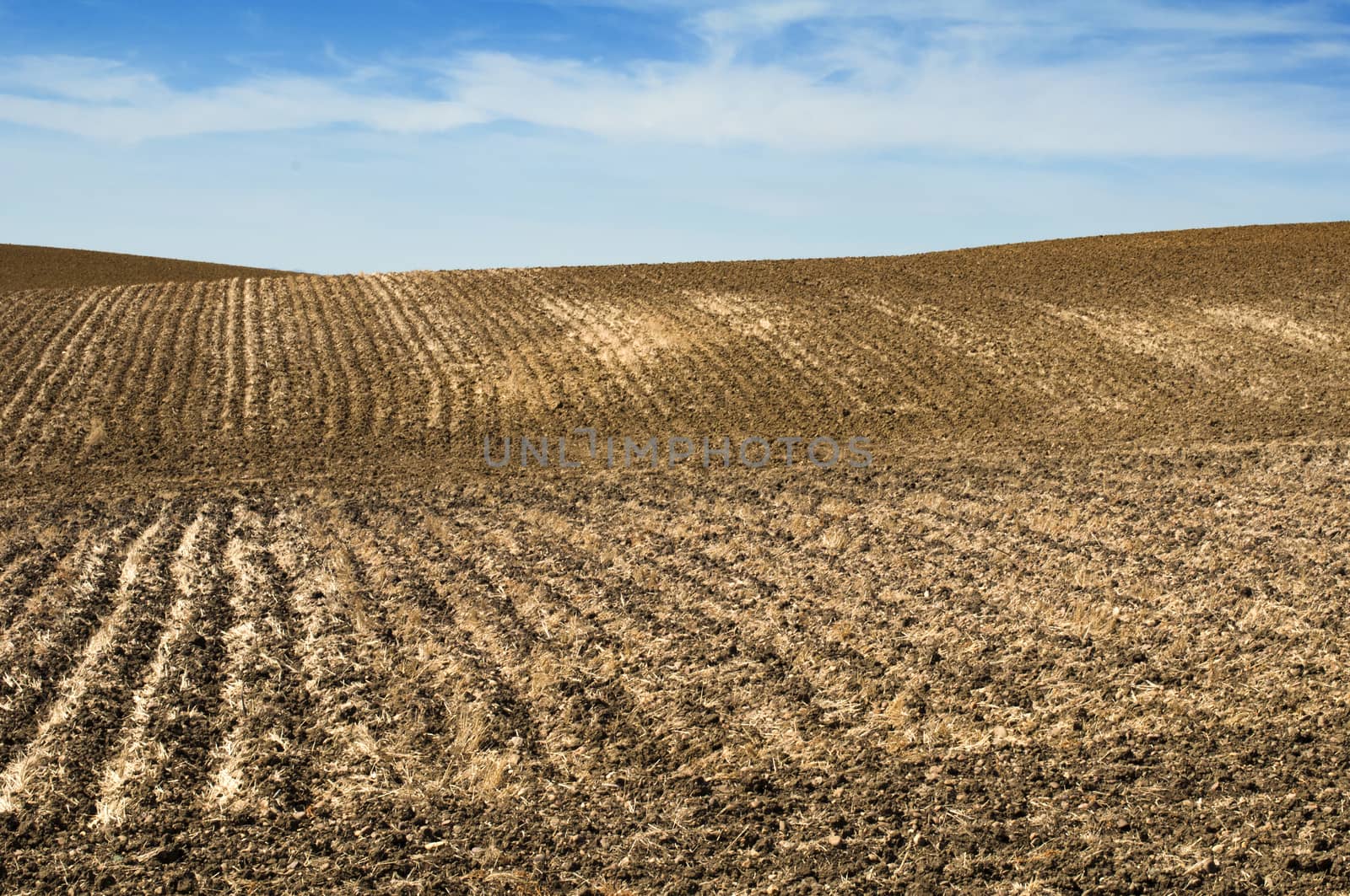 Agricultural land soil and blue sky by deyan_georgiev