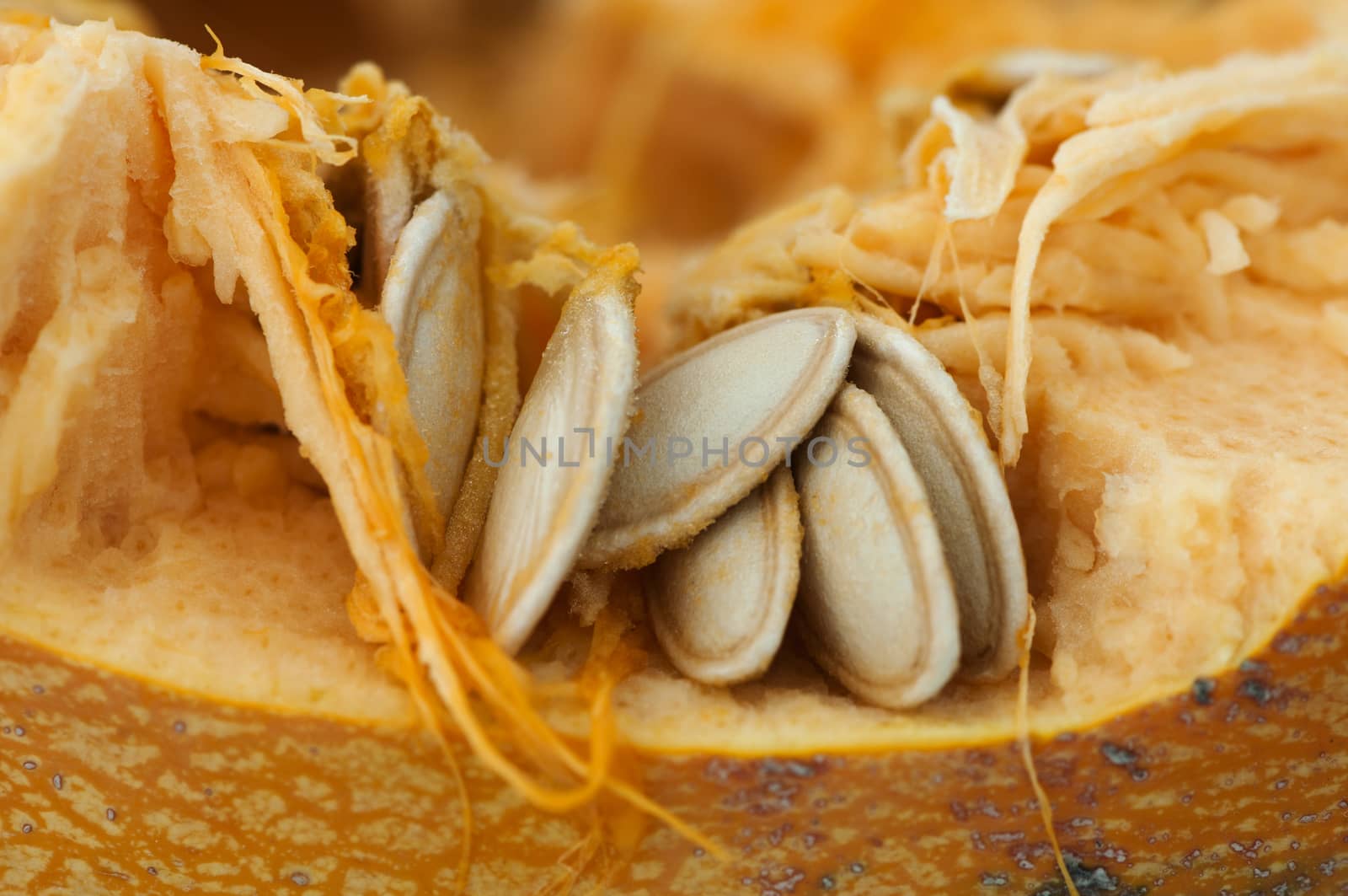 Seeds inside the pumpkin. Very close up