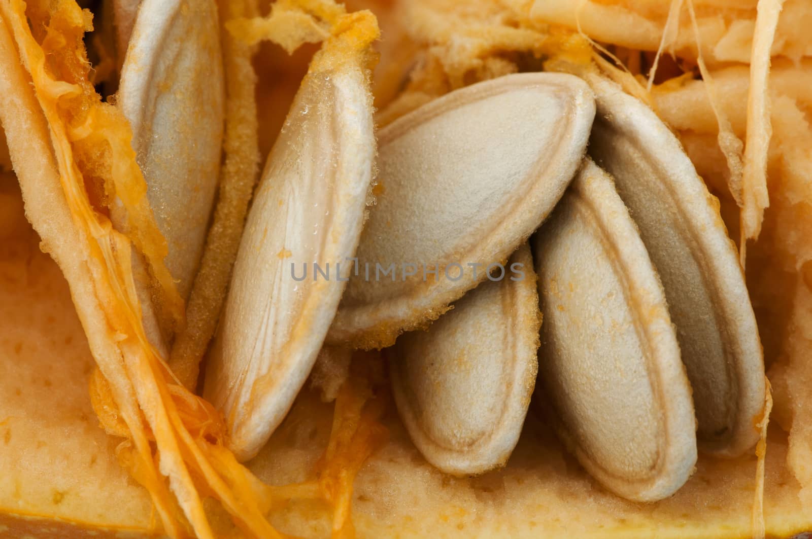 Seeds inside the pumpkin. Very close up