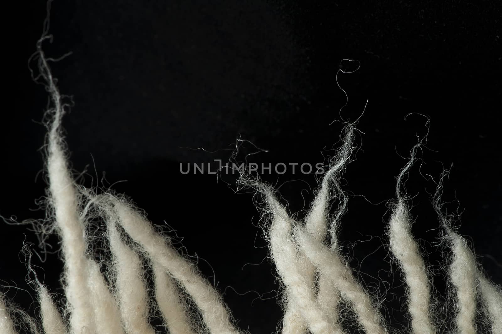 Wool fibers by deyan_georgiev