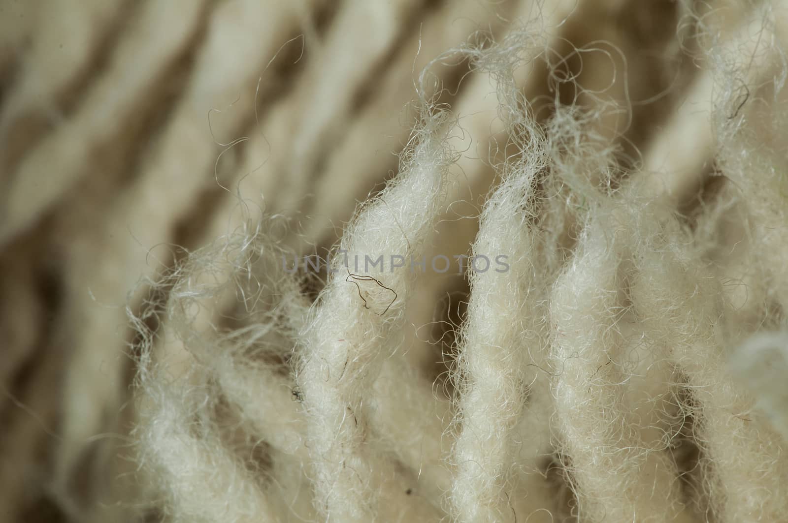 Wool fibers by deyan_georgiev