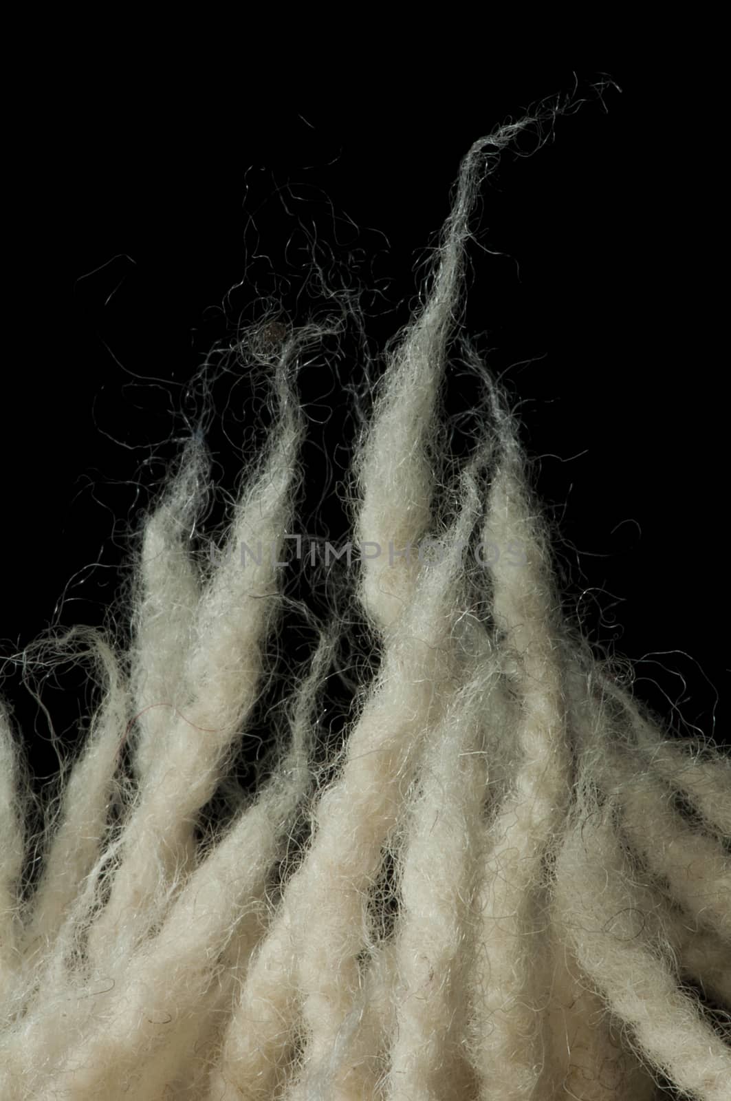 White wool fibers closeup. Black isolated