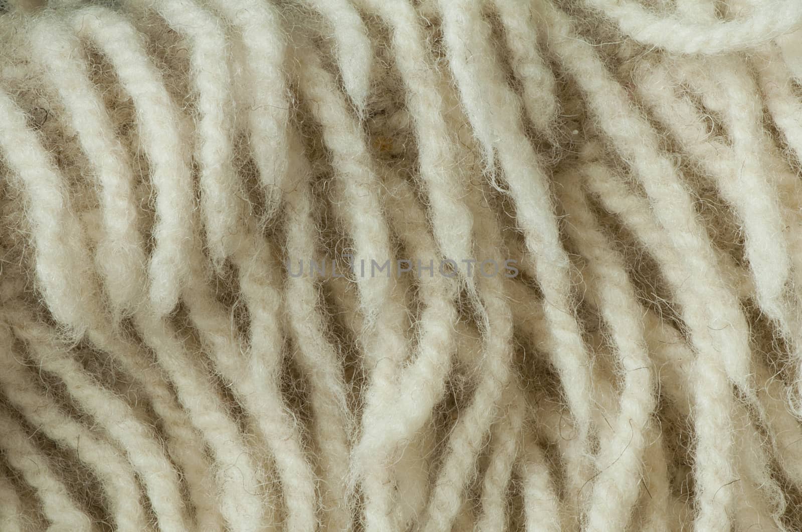 Wool fibers by deyan_georgiev