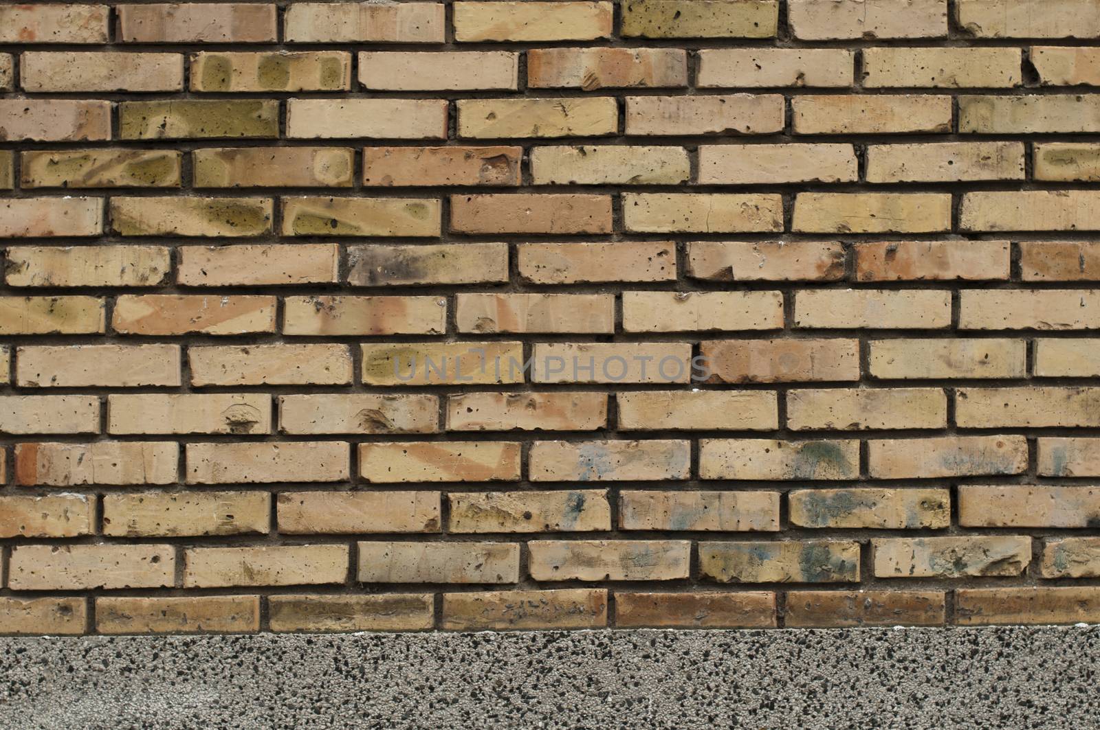 Brick wall by deyan_georgiev