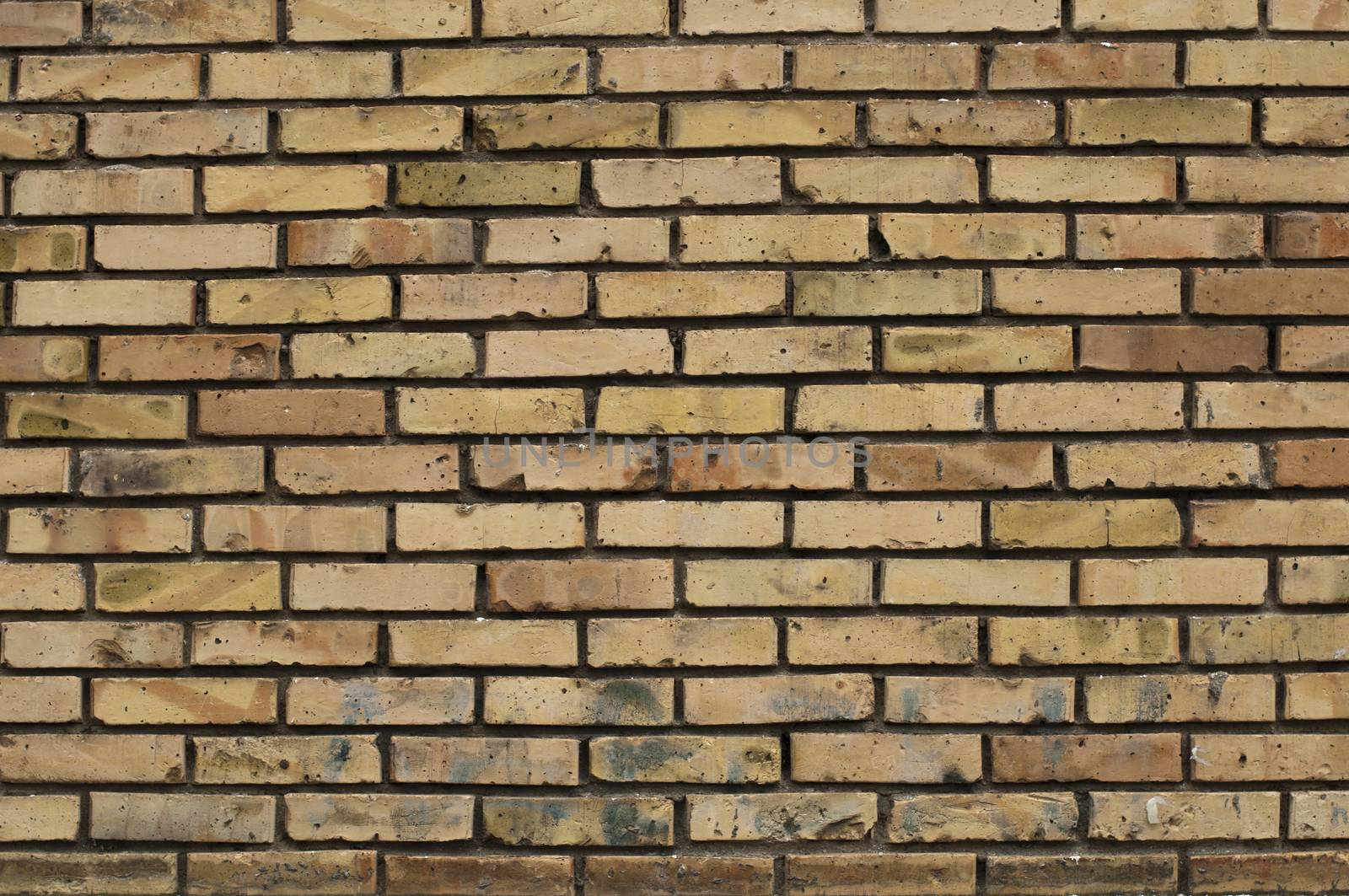 Brick wall by deyan_georgiev