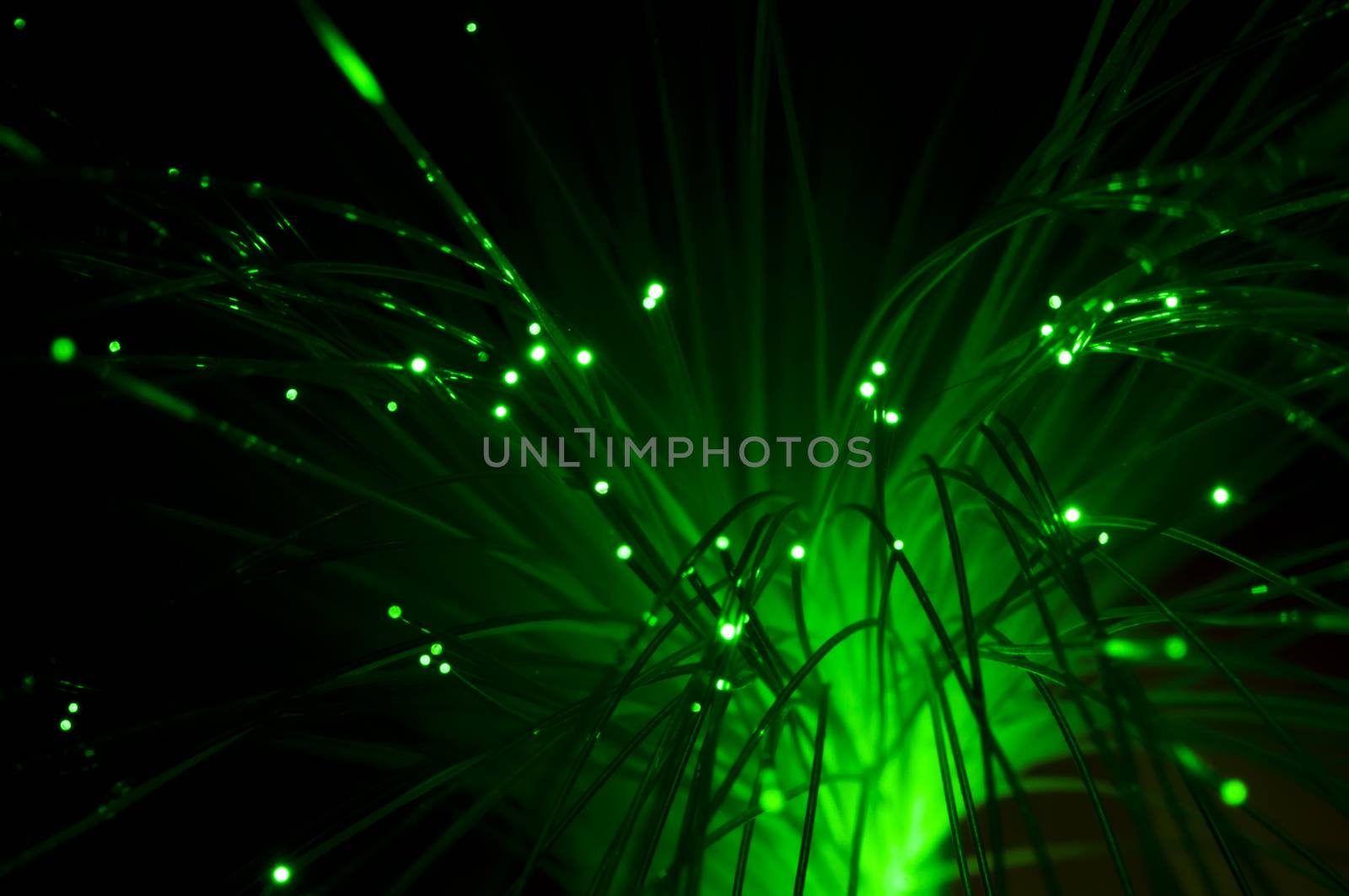 Optical fibers of fiber optic cable. Internet technology. Green color