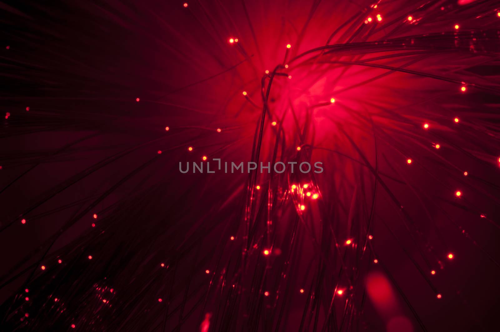Optical fibers of fiber optic cable. Internet technology.Red color