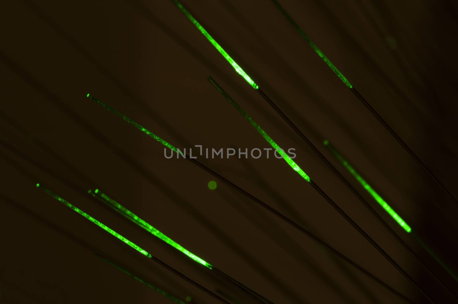 Optical fibers of fiber optic cable. Internet technology. Green color