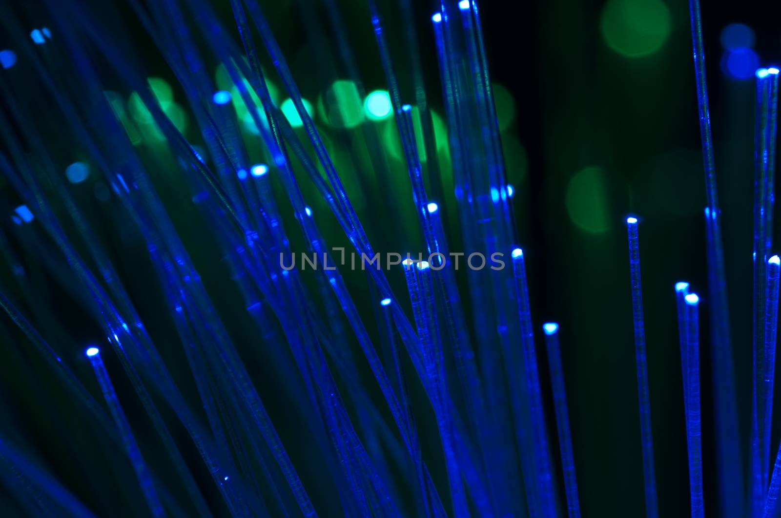 Optical fibers of fiber optic cable. Internet technology.Blue color