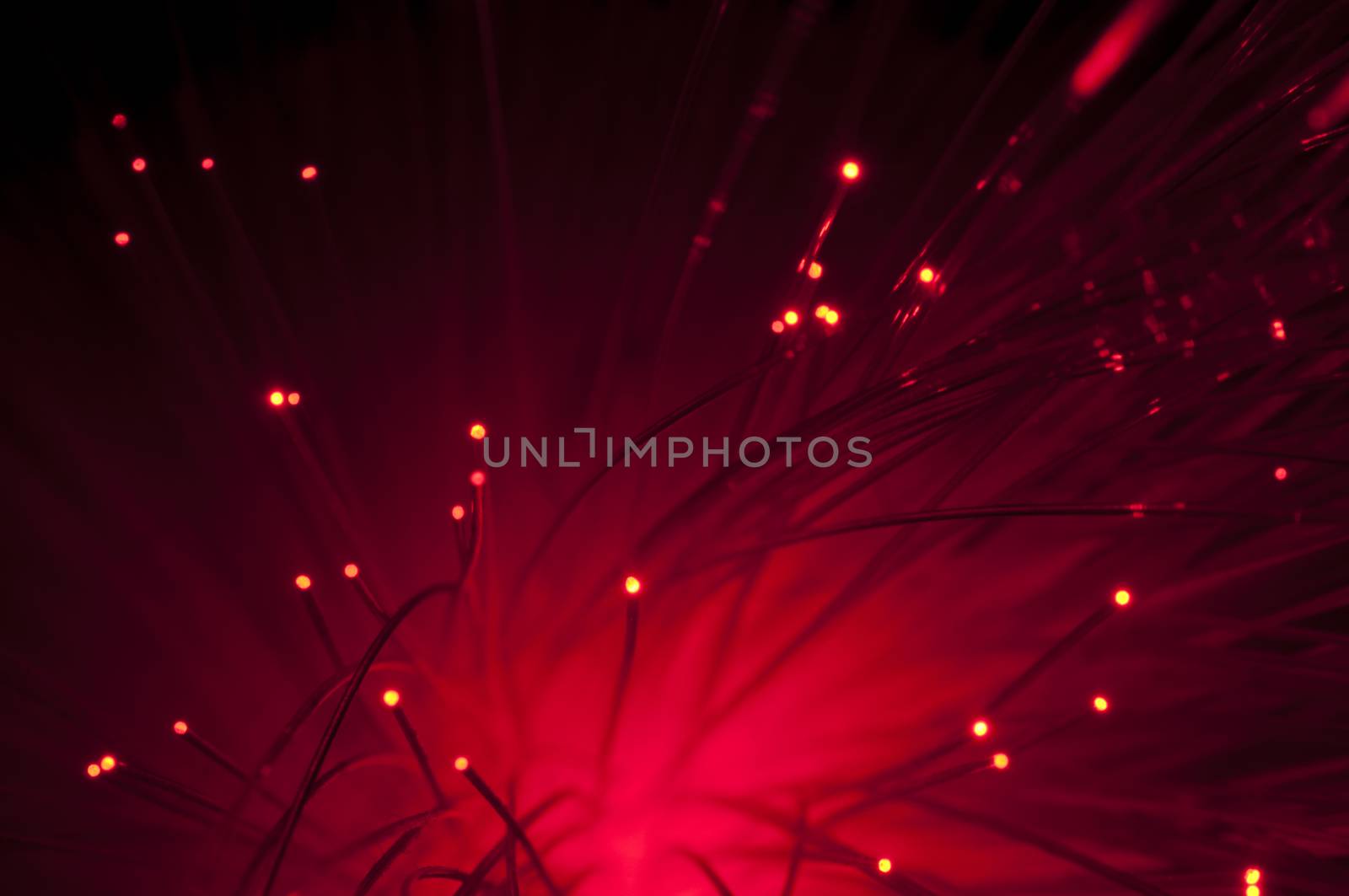 Optical fibers of fiber optic cable. Internet technology.Red color
