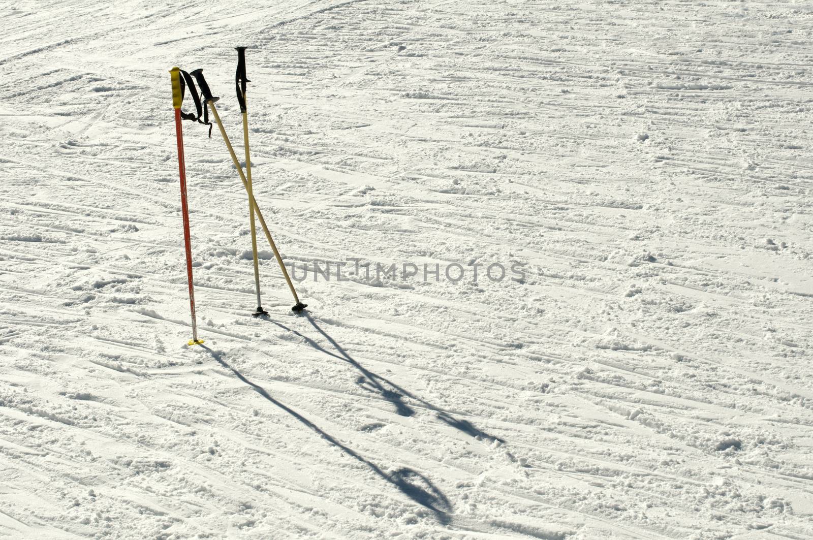 Ski poles stuck in the snow