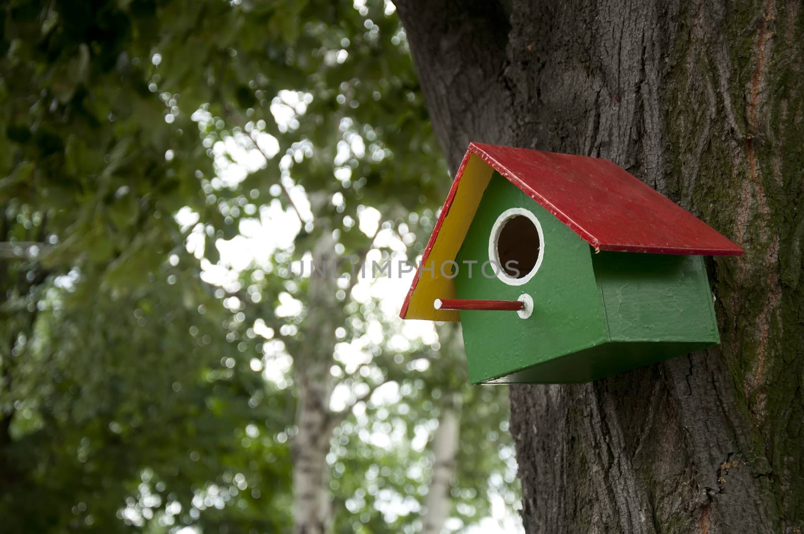 Home-made bright colored bird house. Space for text or other content