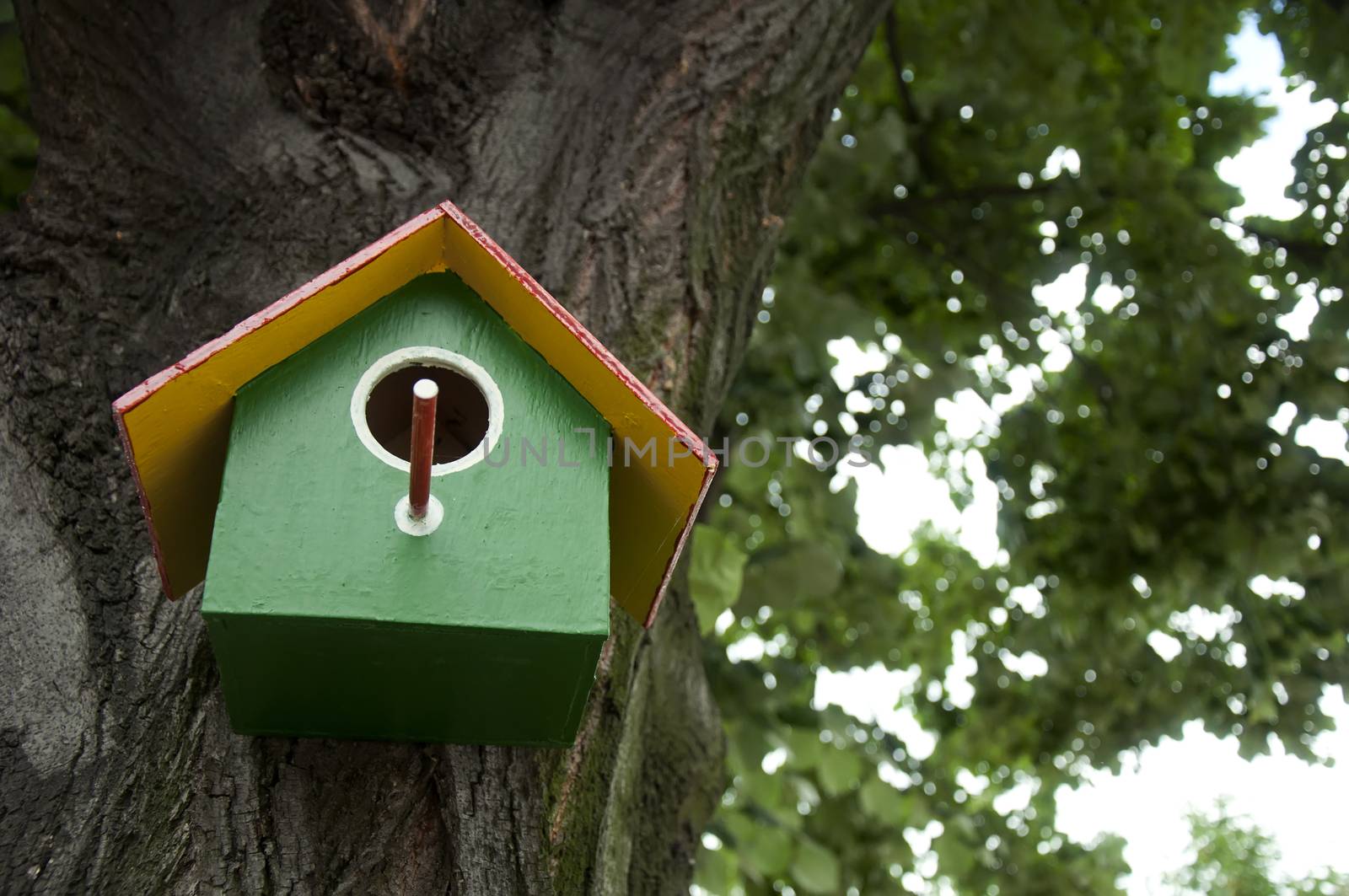 Home-made bright colored bird house  by deyan_georgiev