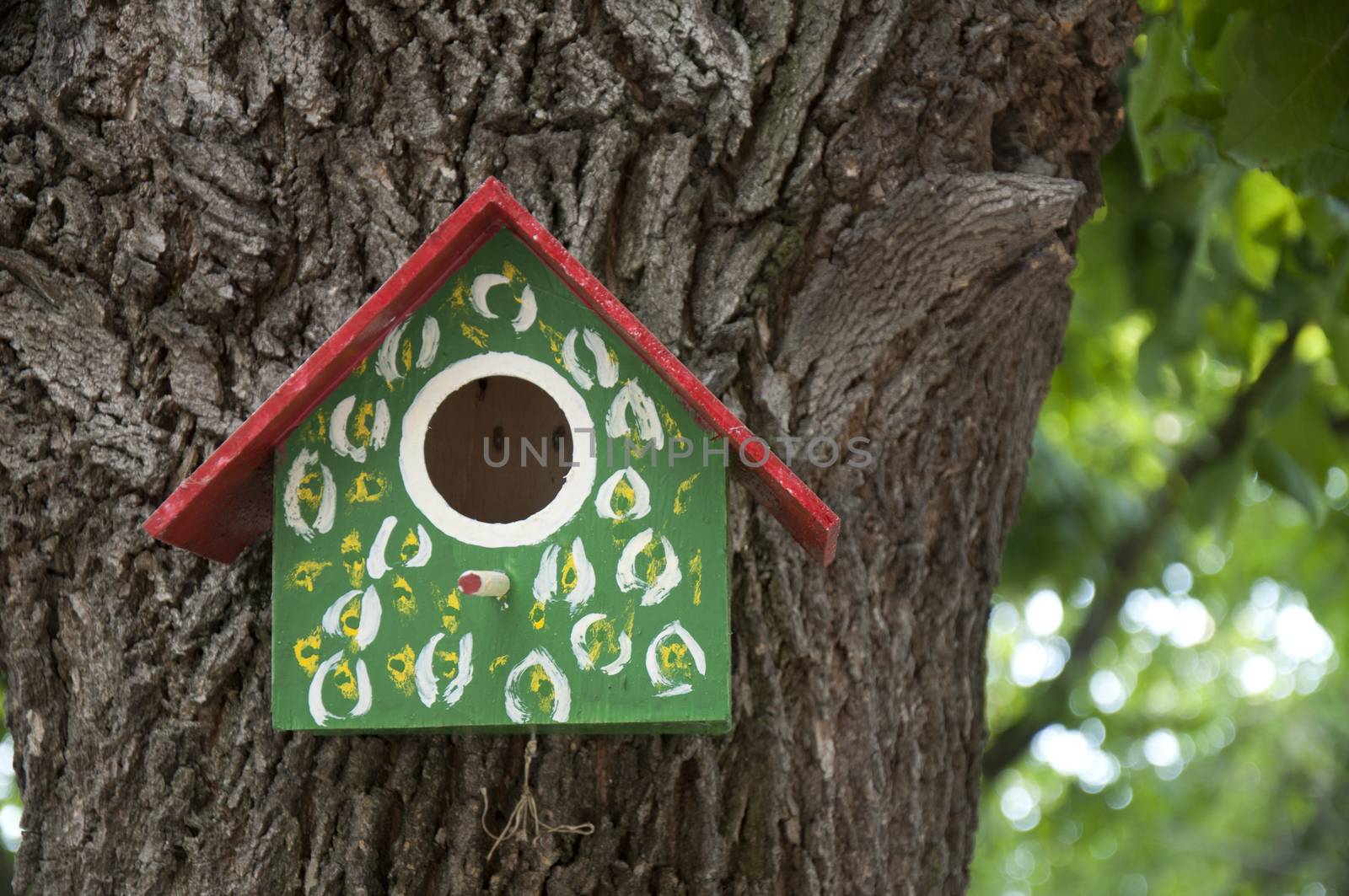 Home-made bright colored bird house. Space for text or other content