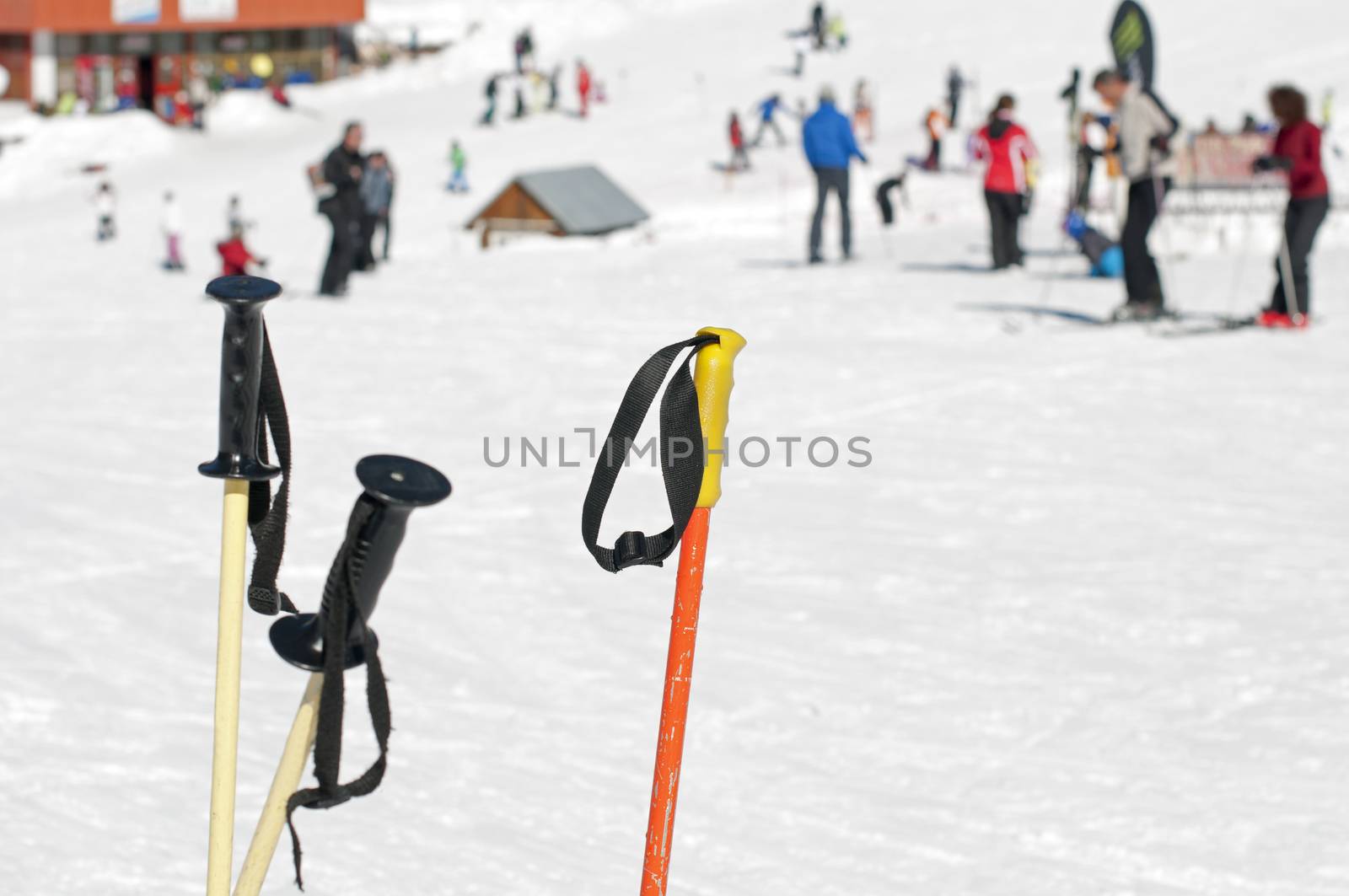 Ski poles by deyan_georgiev