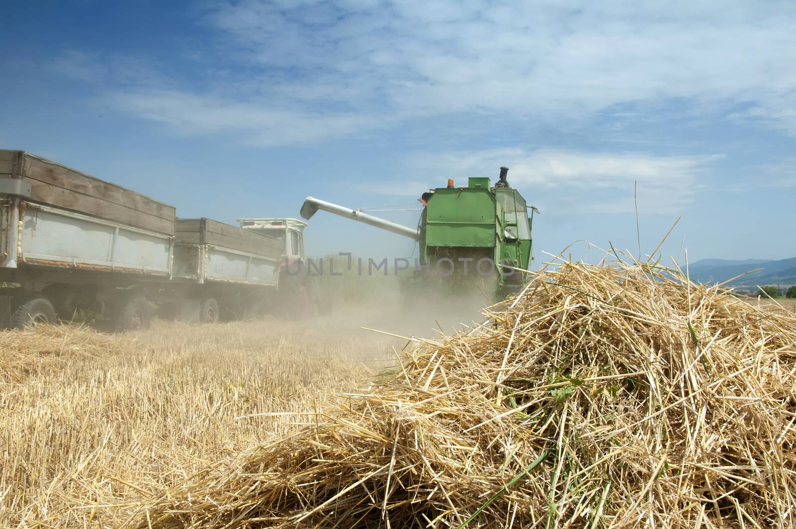 Tractor and combine harvesting. Sunny summer day