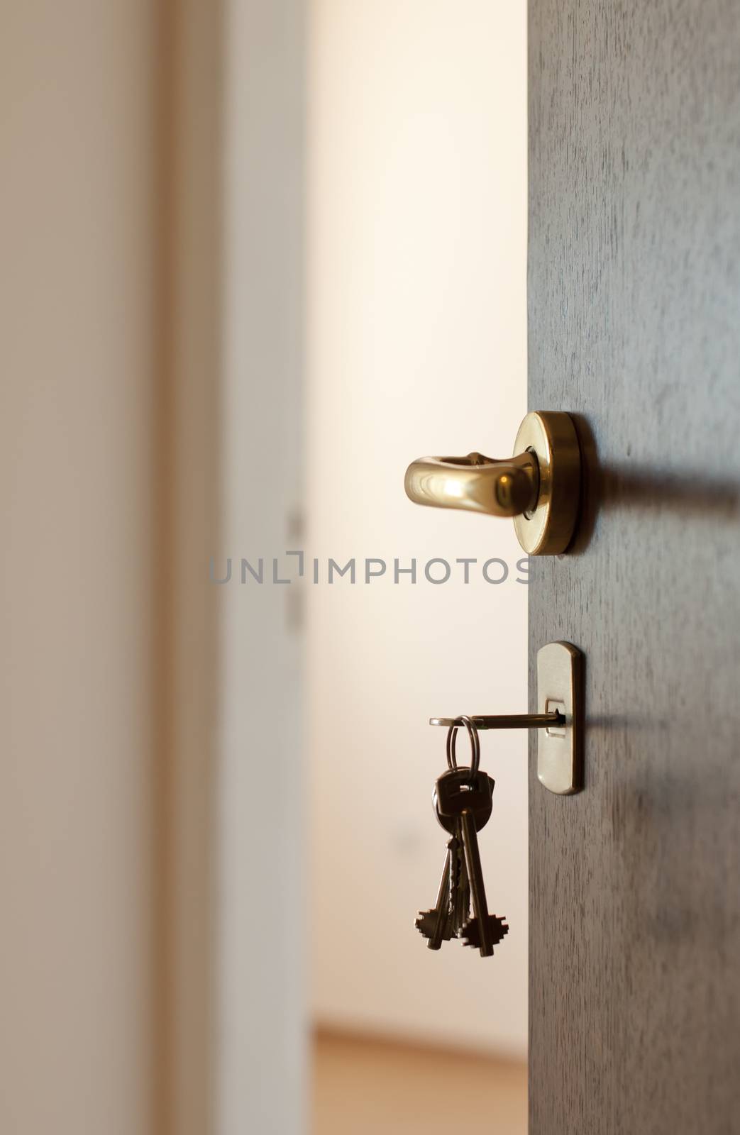 Open door with keys by deyan_georgiev