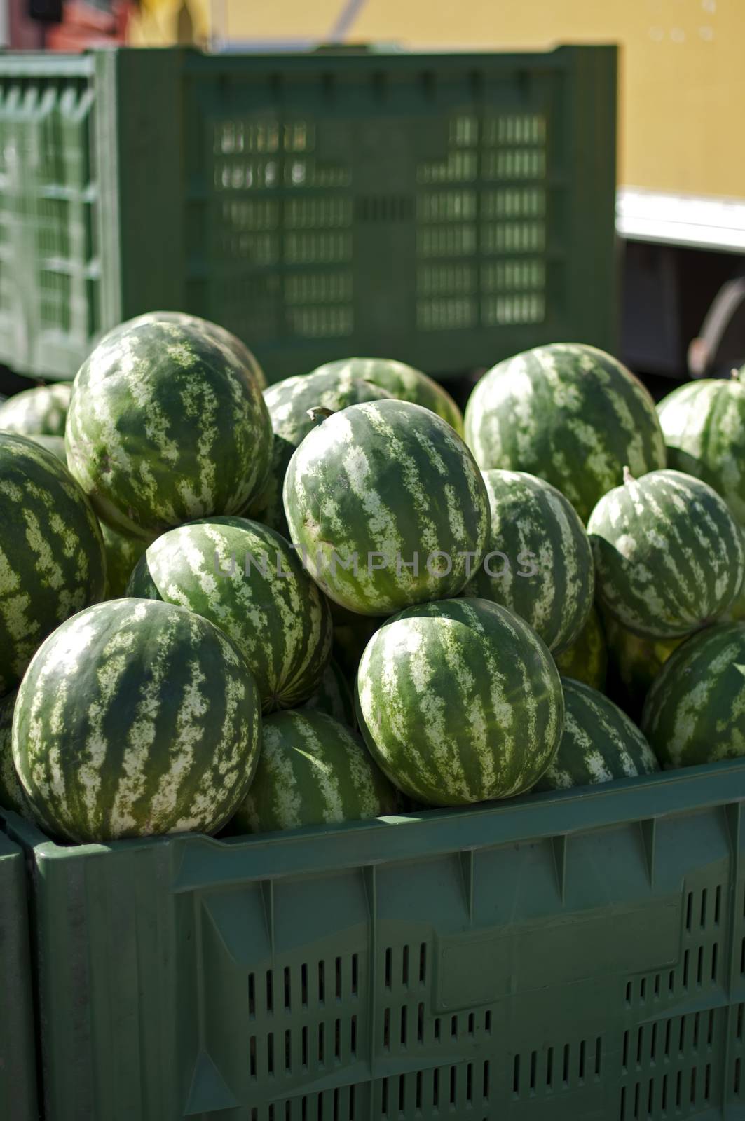 Watermelons in large crates in Wholesale market