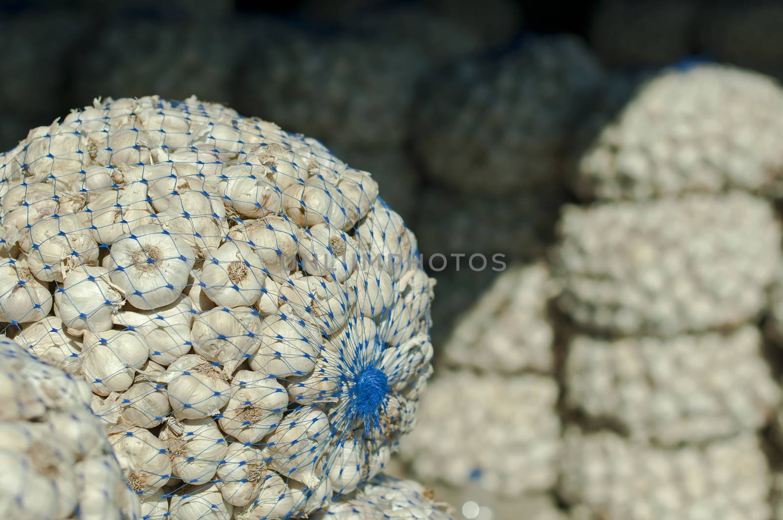 Mesh bag with garlic in Wholesale market