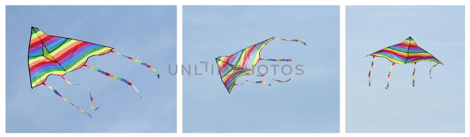 Multicolored kite on blue sky background. Tree images