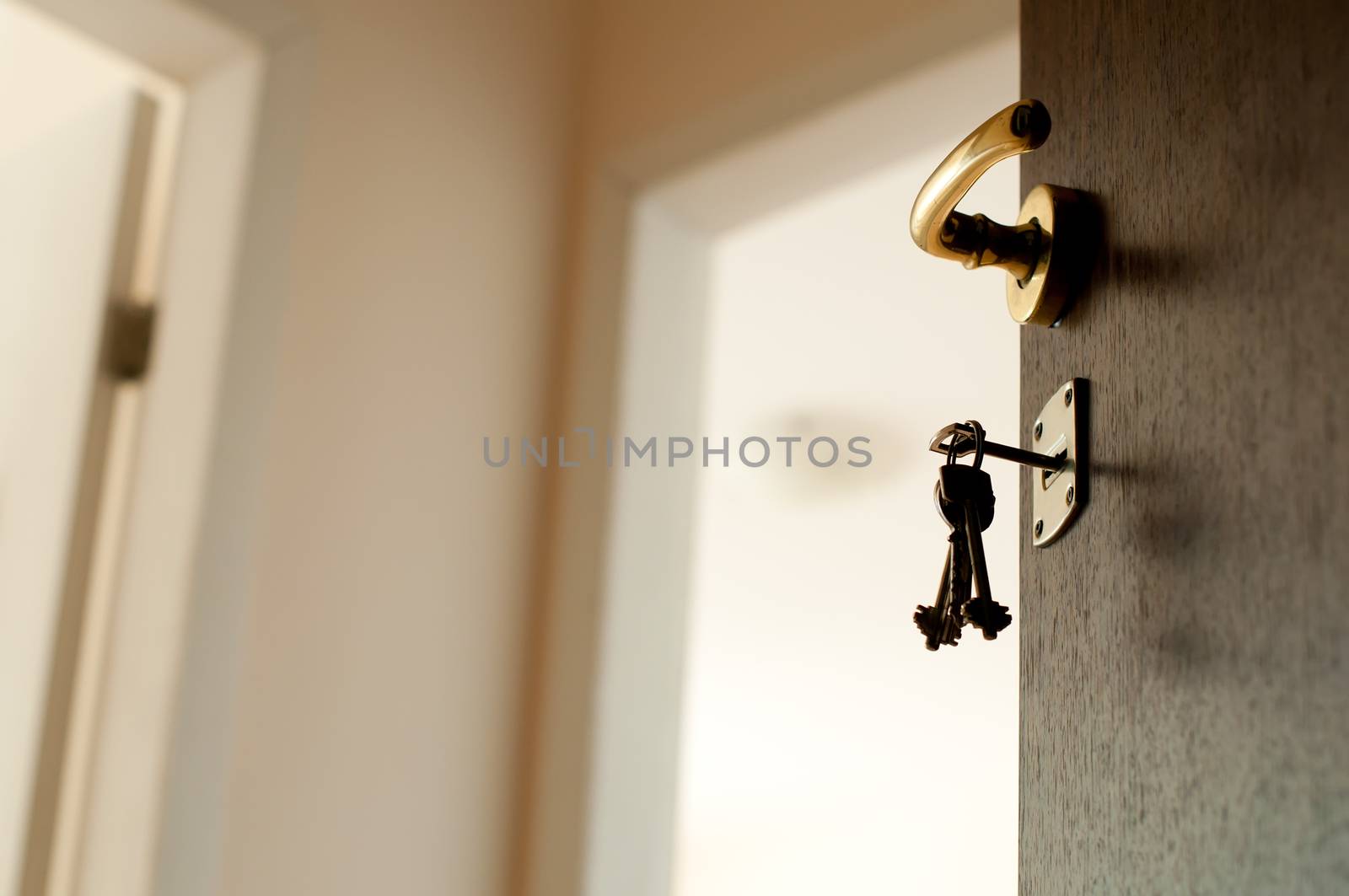 Open door with keys. by deyan_georgiev
