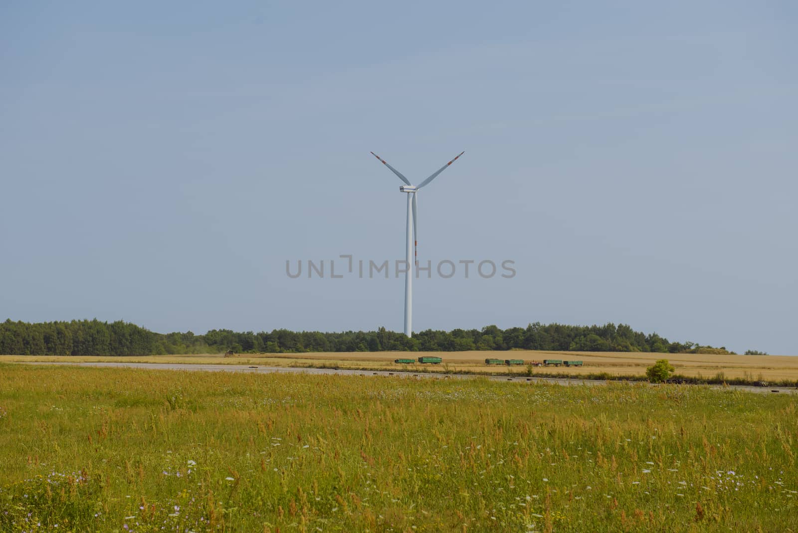 wind trubine at sunny day with blue sky