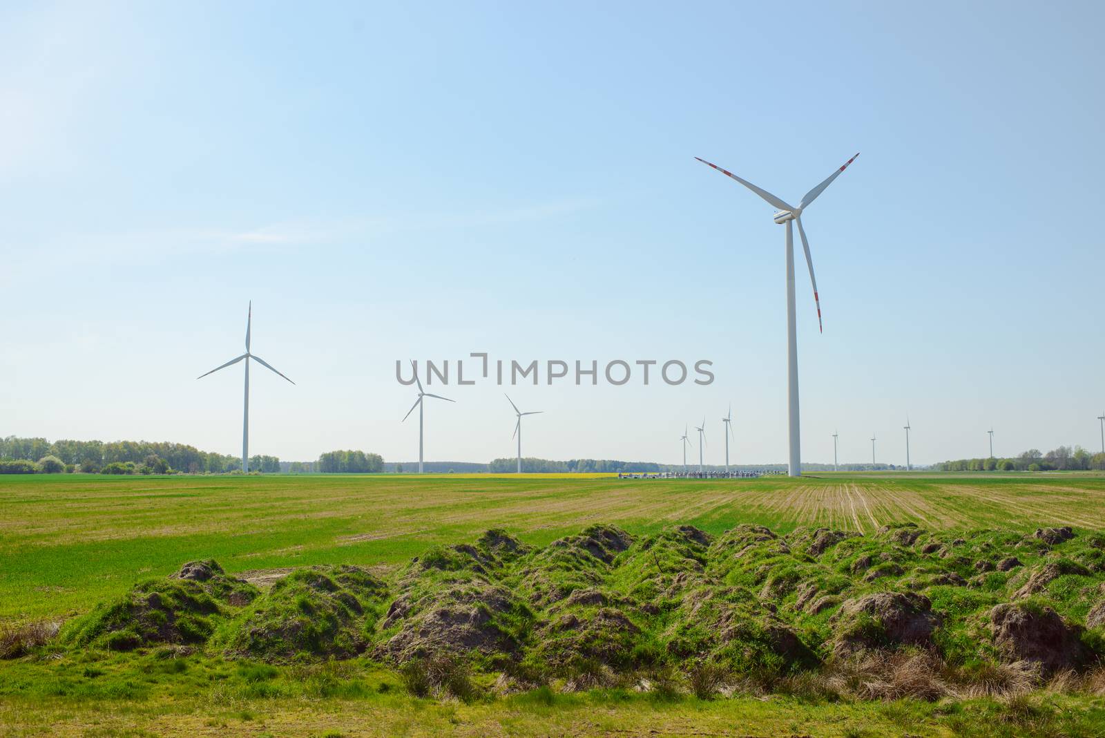 Bright blue sky moving and wind turbine.