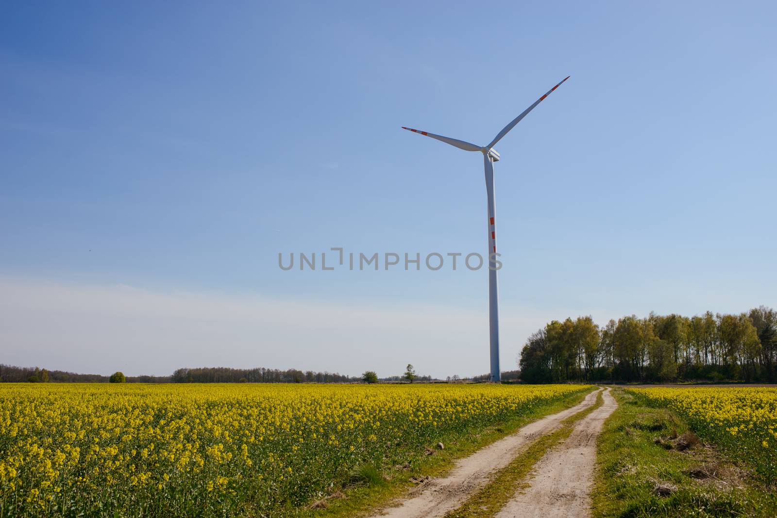 Bright blue sky moving and wind turbine.