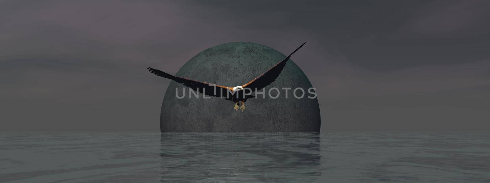 flying an eagle with a beautiful full moon landscape - 3d rendering by mariephotos