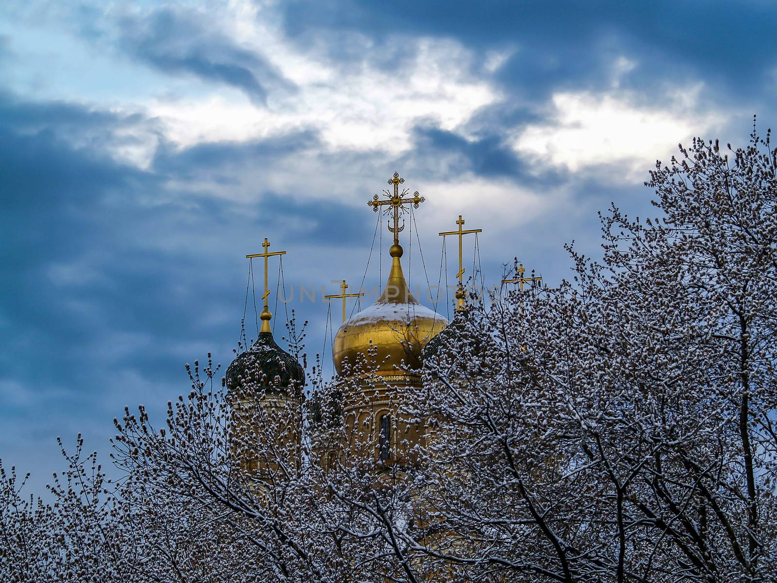 Winter city in the snow. The Church with Golden crosses is surrounded by snow-covered trees.