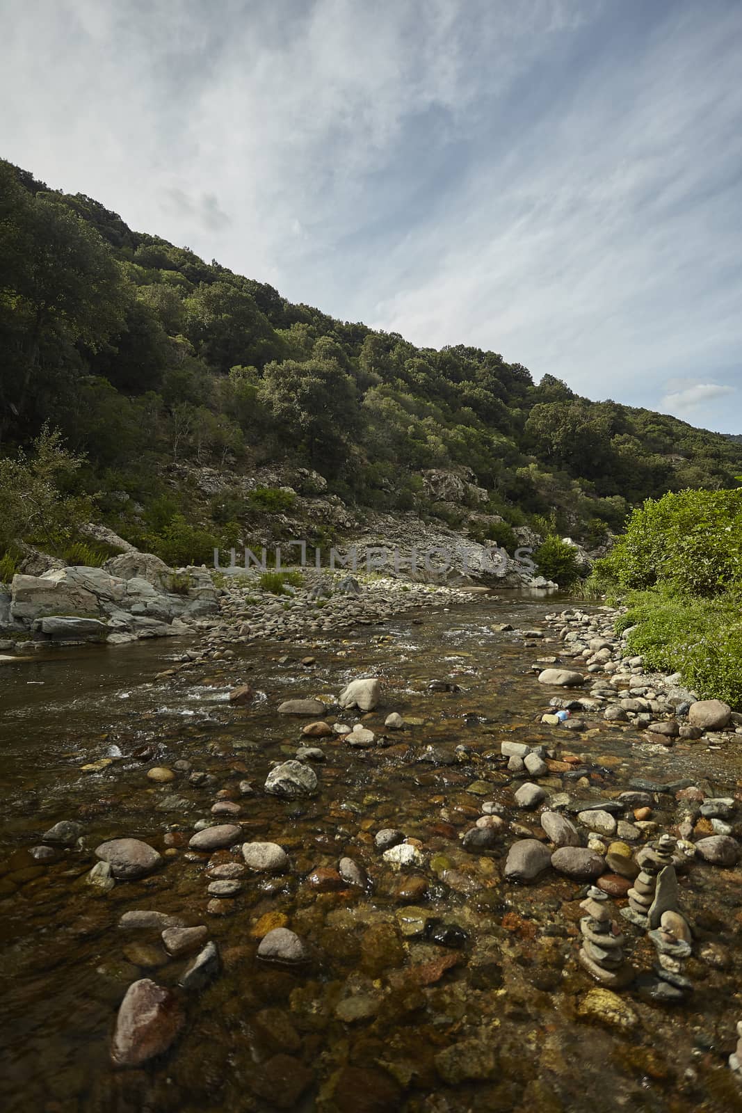 Wide angle view in vertical shot of a mountain stream in the middle of summer while the transparent water flows.