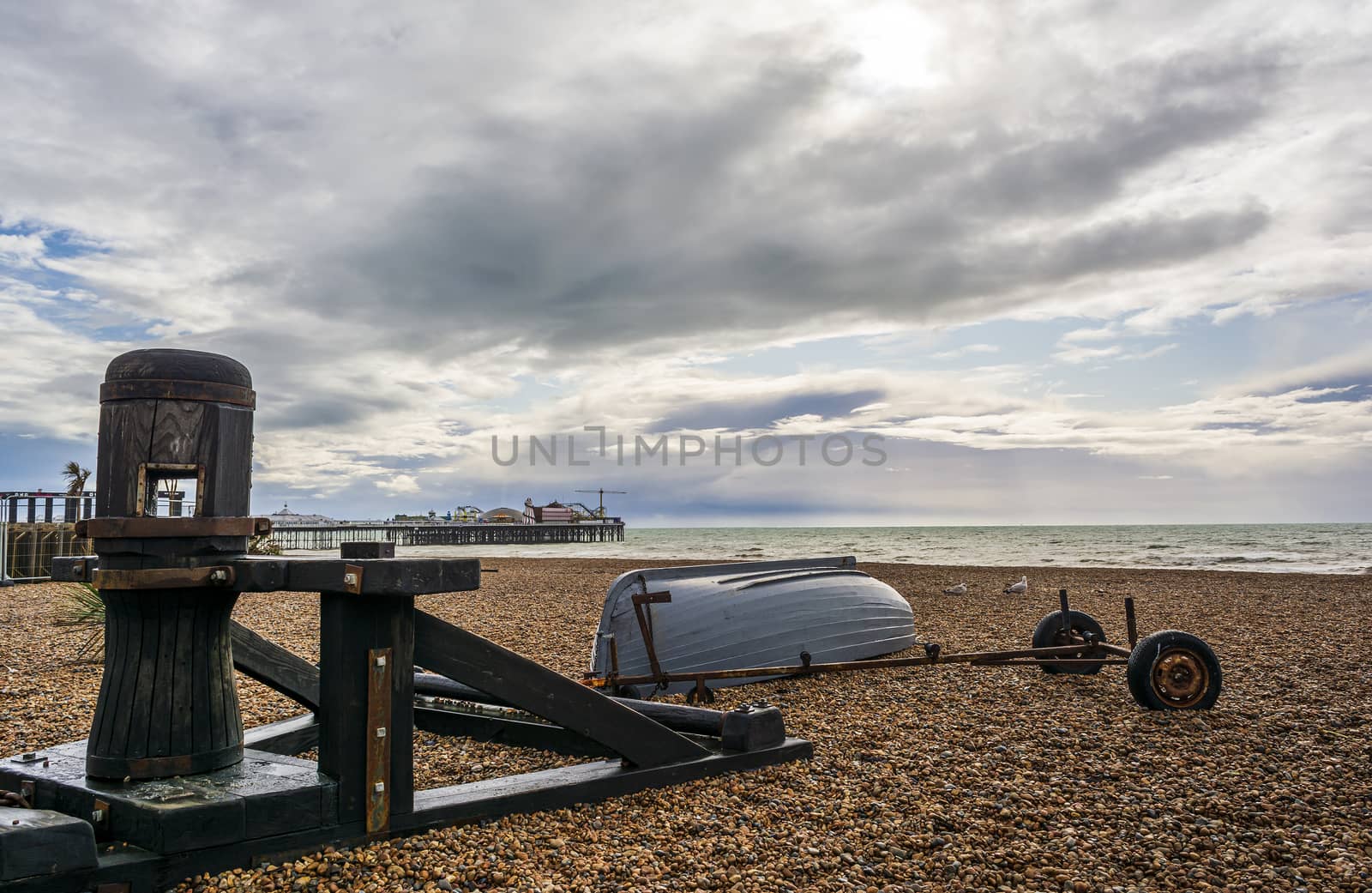 Seagulls standing on Brighton's beach in autumn. In the background it is the Brighton Palace Pier.